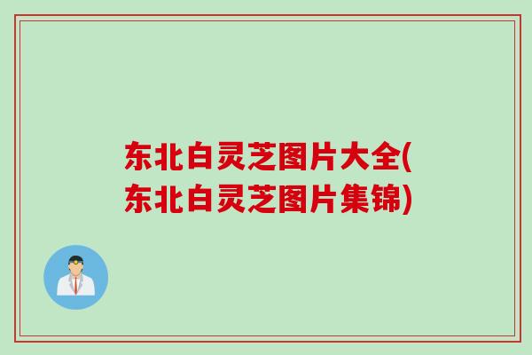东北白灵芝图片大全(东北白灵芝图片集锦) 东北白灵芝图片大全(东北白灵芝图片集锦)