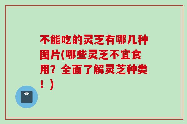 不能吃的灵芝有哪几种图片(哪些灵芝不宜食用?全面了解灵芝种类!) 不能吃的灵芝有哪几种图片(哪些灵芝不宜食用?全面了解灵芝种类!)