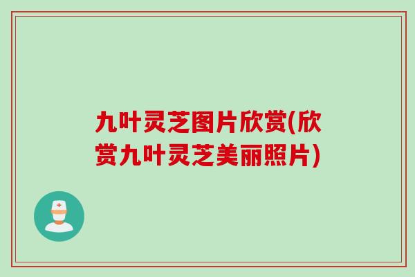 九叶灵芝图片欣赏(欣赏九叶灵芝美丽照片) 九叶灵芝图片欣赏(欣赏九叶灵芝美丽照片)