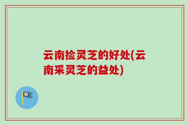 云南捡灵芝的好处(云南采灵芝的益处)