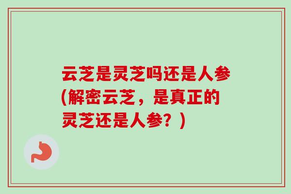 云芝是灵芝吗还是人参(解密云芝，是真正的灵芝还是人参？)