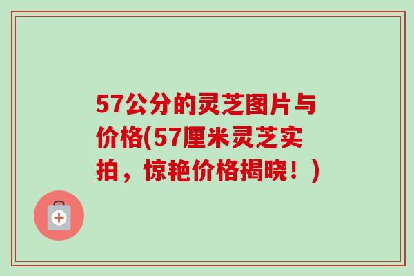 57公分的灵芝图片与价格(57厘米灵芝实拍，惊艳价格揭晓！)