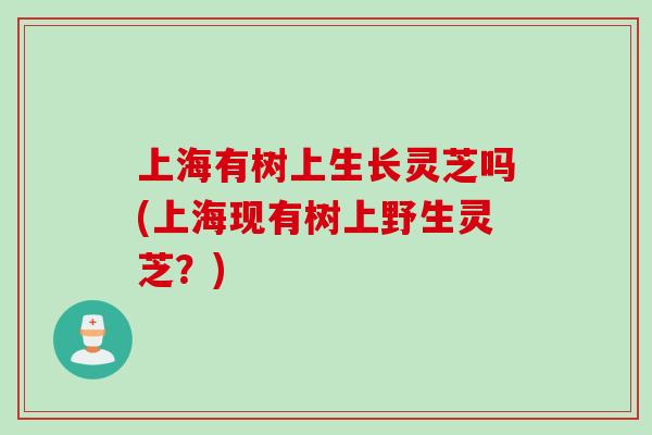 上海有树上生长灵芝吗(上海现有树上野生灵芝？)