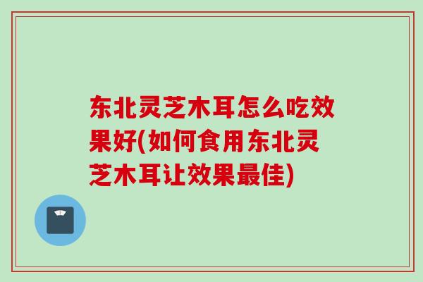 东北灵芝木耳怎么吃效果好(如何食用东北灵芝木耳让效果最佳)
