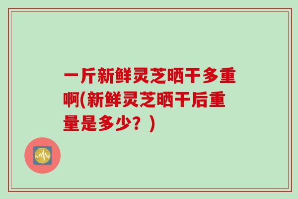 一斤新鲜灵芝晒干多重啊(新鲜灵芝晒干后重量是多少？)