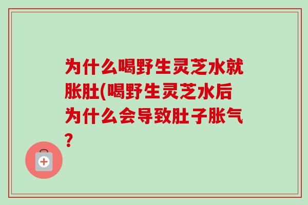 为什么喝野生灵芝水就胀肚(喝野生灵芝水后为什么会导致肚子胀气？