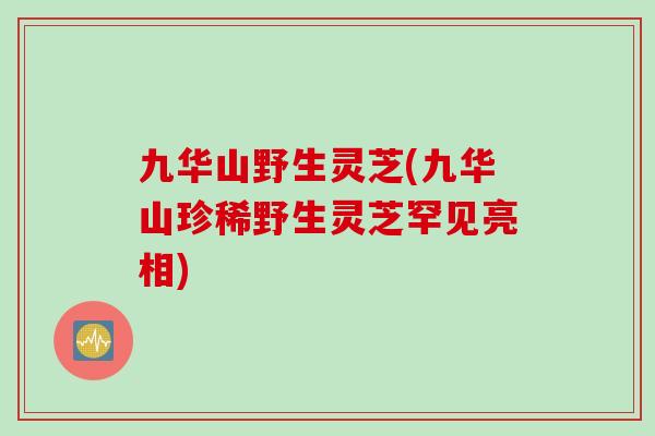 九华山野生灵芝(九华山珍稀野生灵芝罕见亮相)