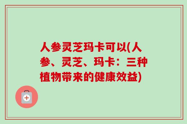 人参灵芝玛卡可以(人参、灵芝、玛卡：三种植物带来的健康效益)