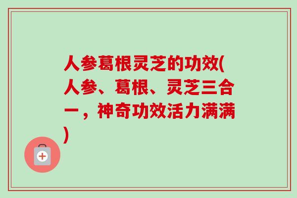 人参葛根灵芝的功效(人参、葛根、灵芝三合一，神奇功效活力满满)