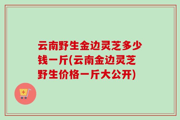 云南野生金边灵芝多少钱一斤(云南金边灵芝野生价格一斤大公开) 云南野生金边灵芝多少钱一斤(云南金边灵芝野生价格一斤大公开)