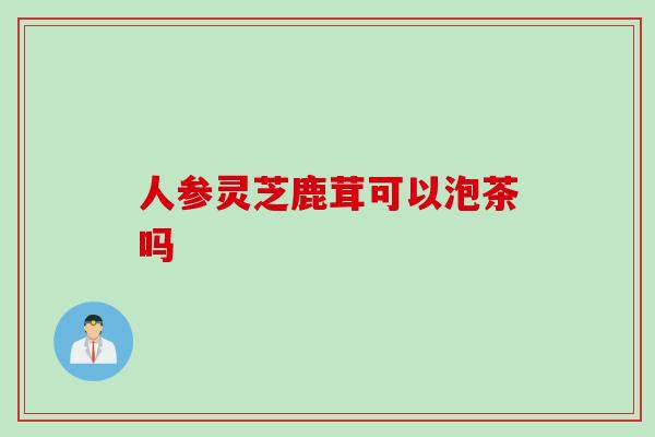 人参灵芝鹿茸可以泡茶吗