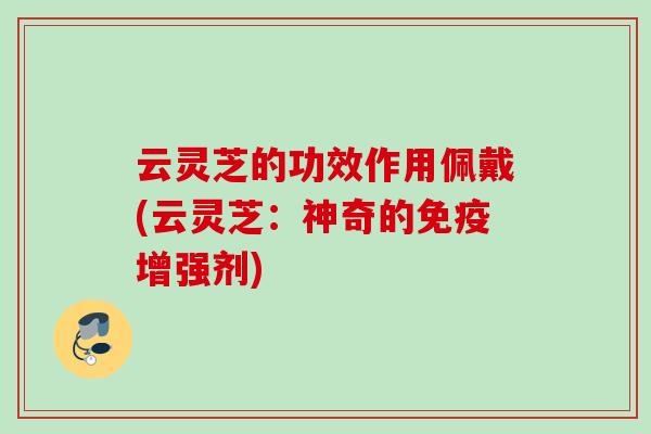 云灵芝的功效作用佩戴(云灵芝：神奇的免疫增强剂)