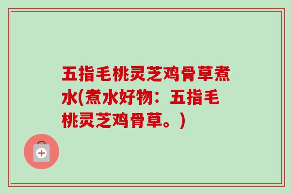 五指毛桃灵芝鸡骨草煮水(煮水好物：五指毛桃灵芝鸡骨草。)