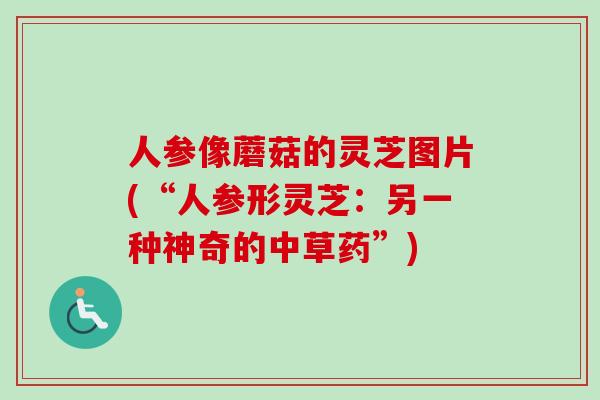 人参像蘑菇的灵芝图片(“人参形灵芝：另一种神奇的中草药”)