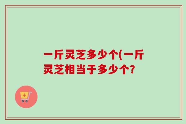 一斤灵芝多少个(一斤灵芝相当于多少个？