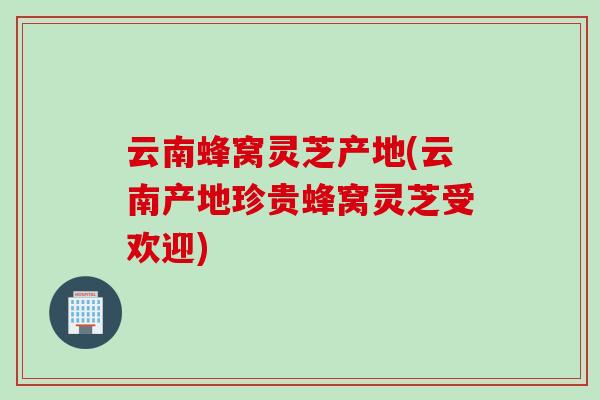 云南蜂窝灵芝产地(云南产地珍贵蜂窝灵芝受欢迎)