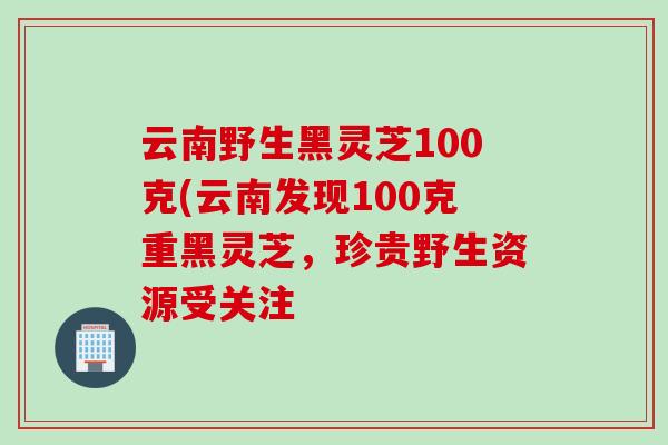 云南野生黑灵芝100克(云南发现100克重黑灵芝，珍贵野生资源受关注