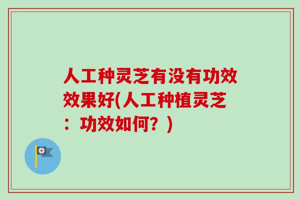 人工种灵芝有没有功效效果好(人工种植灵芝：功效如何？)