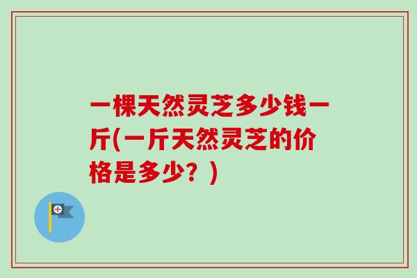 一棵天然灵芝多少钱一斤(一斤天然灵芝的价格是多少？)