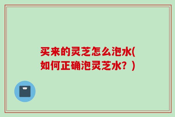 买来的灵芝怎么泡水(如何正确泡灵芝水？)