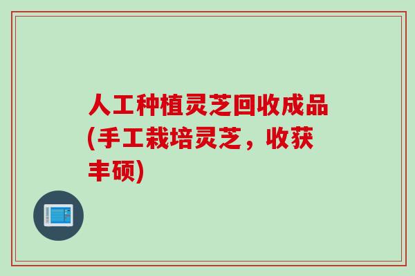 人工种植灵芝回收成品(手工栽培灵芝，收获丰硕)