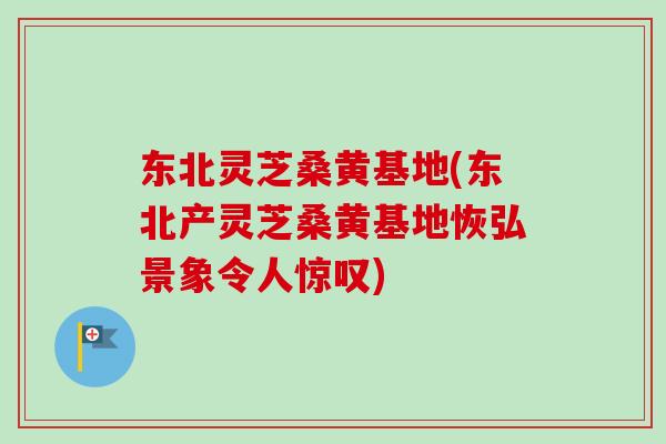东北灵芝桑黄基地(东北产灵芝桑黄基地恢弘景象令人惊叹)