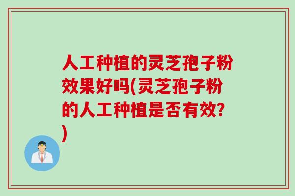 人工种植的灵芝孢子粉效果好吗(灵芝孢子粉的人工种植是否有效？)
