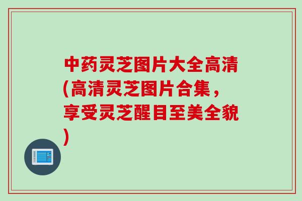 中药灵芝图片大全高清(高清灵芝图片合集，享受灵芝醒目至美全貌)