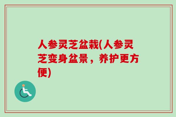 人参灵芝盆栽(人参灵芝变身盆景，养护更方便)