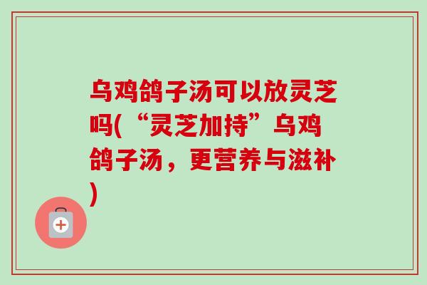 乌鸡鸽子汤可以放灵芝吗(“灵芝加持”乌鸡鸽子汤，更营养与滋补)