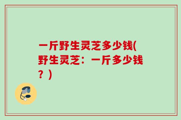 一斤野生灵芝多少钱(野生灵芝：一斤多少钱？)