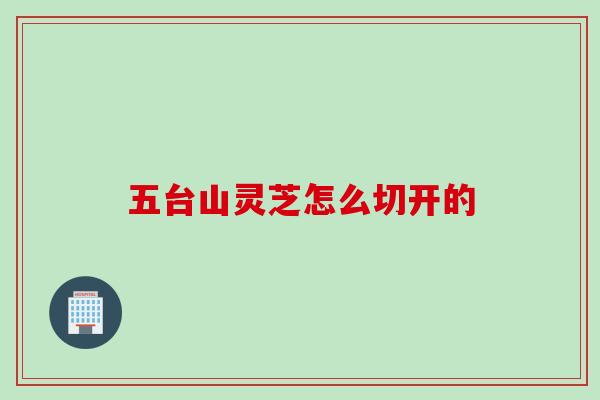 五台山灵芝怎么切开的