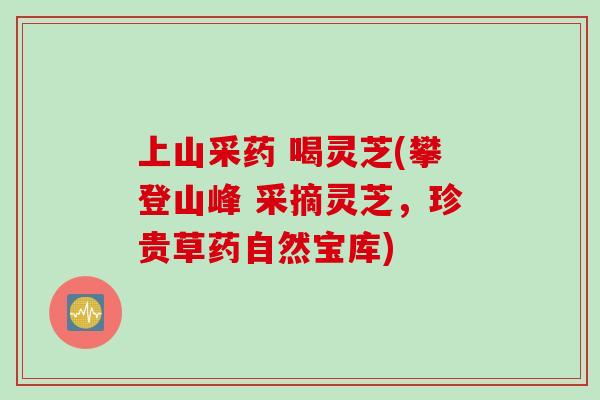 上山采药 喝灵芝(攀登山峰 采摘灵芝，珍贵草药自然宝库)