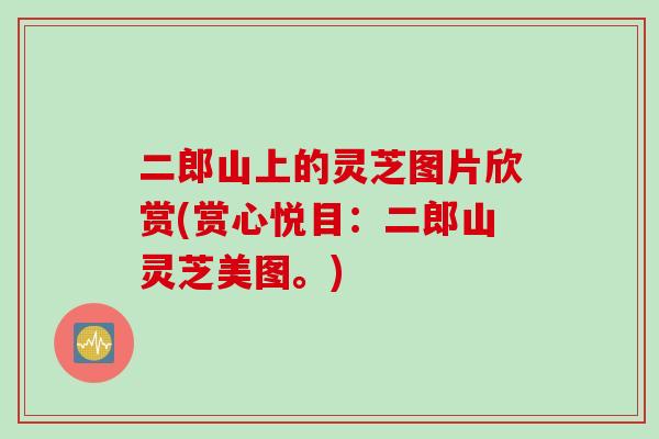 二郎山上的灵芝图片欣赏(赏心悦目：二郎山灵芝美图。)