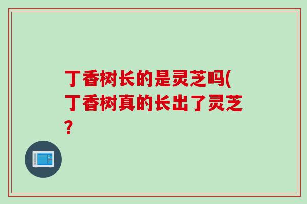 丁香树长的是灵芝吗(丁香树真的长出了灵芝？