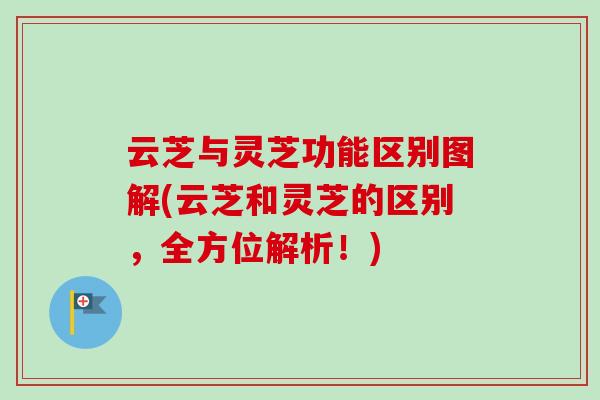 云芝与灵芝功能区别图解(云芝和灵芝的区别，全方位解析！)