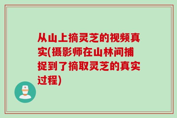 从山上摘灵芝的视频真实(摄影师在山林间捕捉到了摘取灵芝的真实过程)