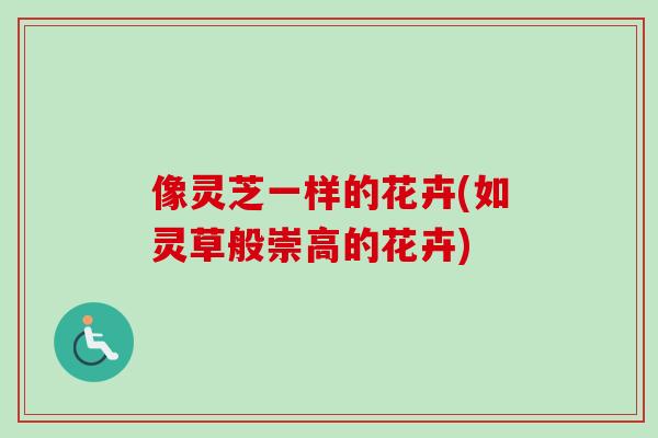 像灵芝一样的花卉(如灵草般崇高的花卉)