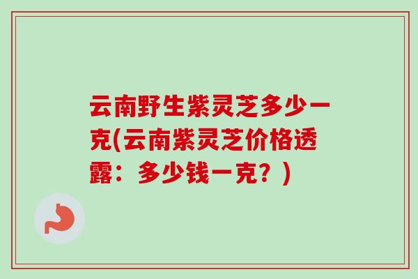 云南野生紫灵芝多少一克(云南紫灵芝价格透露：多少钱一克？)