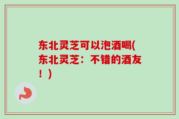 东北灵芝可以泡酒喝(东北灵芝：不错的酒友！)