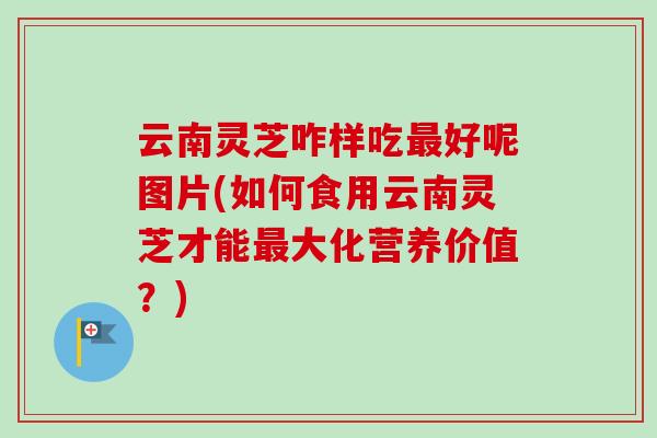云南灵芝咋样吃最好呢图片(如何食用云南灵芝才能最大化营养价值？)