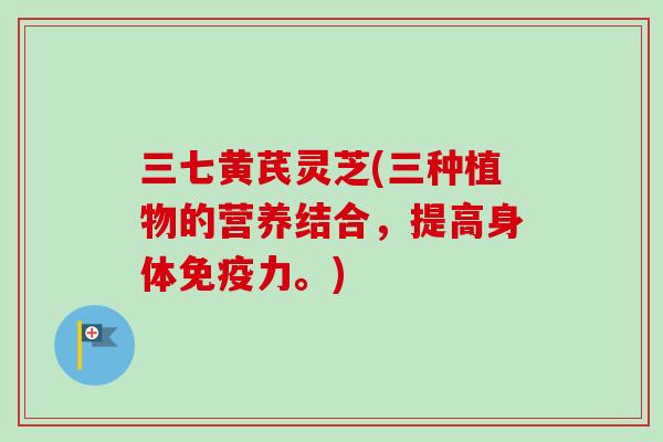 三七黄芪灵芝(三种植物的营养结合，提高身体免疫力。)
