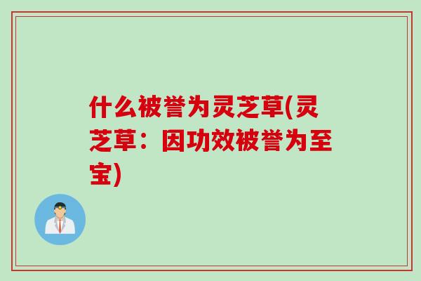 什么被誉为灵芝草(灵芝草:因功效被誉为至宝) 什么被誉为灵芝草(灵芝草:因功效被誉为至宝)