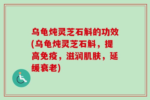 乌龟炖灵芝石斛的功效(乌龟炖灵芝石斛，提高免疫，滋润肌肤，延缓衰老)
