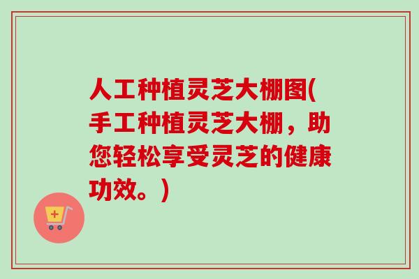 人工种植灵芝大棚图(手工种植灵芝大棚，助您轻松享受灵芝的健康功效。)
