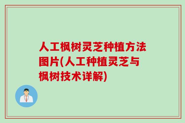 人工枫树灵芝种植方法图片(人工种植灵芝与枫树技术详解)