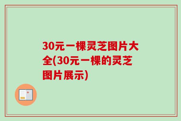 30元一棵灵芝图片大全(30元一棵的灵芝图片展示)
