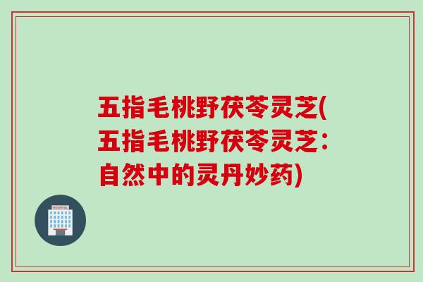 五指毛桃野茯苓灵芝(五指毛桃野茯苓灵芝：自然中的灵丹妙药)