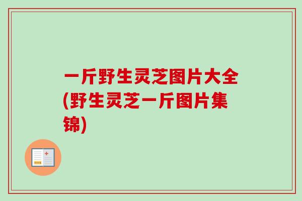 一斤野生灵芝图片大全(野生灵芝一斤图片集锦) 一斤野生灵芝图片大全(野生灵芝一斤图片集锦)