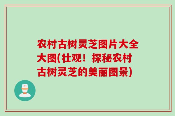 农村古树灵芝图片大全大图(壮观！探秘农村古树灵芝的美丽图景)